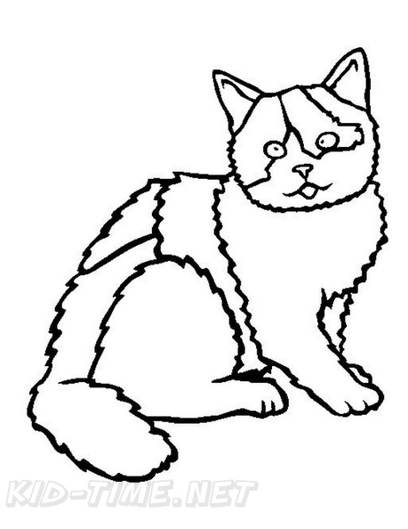 British_Shorthair_Cat_Coloring_Pages_003.jpg