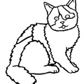 British_Shorthair_Cat_Coloring_Pages_003.jpg
