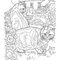 British Shorthair Cat Breed Coloring Book Page