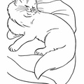 cats-cat-coloring-pages-012.jpg