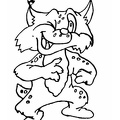 cats-cat-coloring-pages-073.jpg