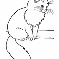 cats-cat-coloring-pages-138.jpg