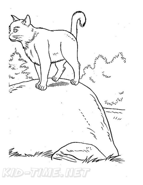 cats-cat-coloring-pages-299.jpg