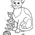 cats-cat-coloring-pages-327.jpg