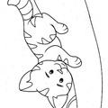 cats-cat-coloring-pages-409.jpg