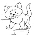 cats-cat-coloring-pages-414.jpg