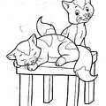 cats-cat-coloring-pages-560.jpg