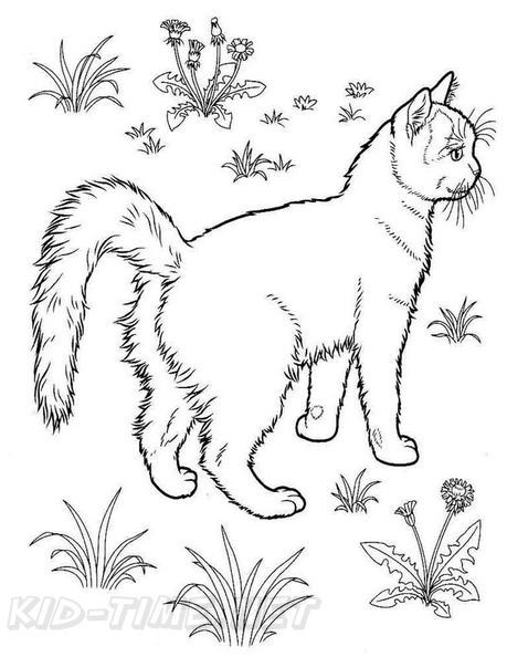 cats-cat-coloring-pages-618.jpg