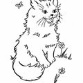 cats-cat-coloring-pages-632.jpg
