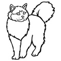 cats-cat-coloring-pages-642.jpg