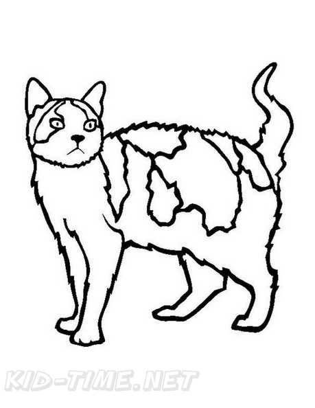 cats-cat-coloring-pages-653.jpg