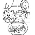 cats-cat-coloring-pages-676.jpg