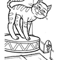 cats-cat-coloring-pages-678.jpg