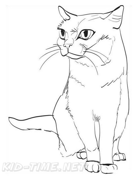 Chartreux_Cat_Coloring_Pages_003.jpg