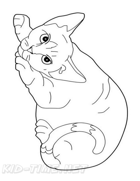 Cornish_Rex_Cat_Coloring_Pages_002.jpg