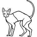Cornish_Rex_Cat_Coloring_Pages_004.jpg