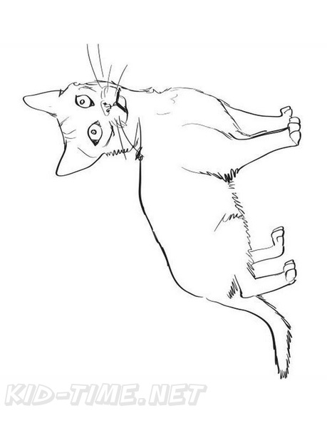 Egyptian_Mau_Cat_Coloring_Pages_004.jpg