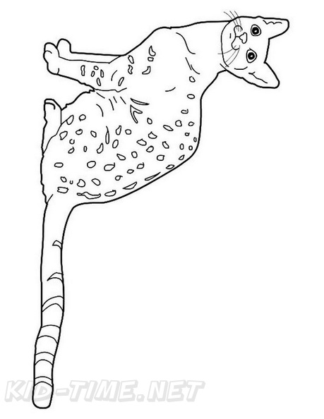 Egyptian_Mau_Cat_Coloring_Pages_005.jpg
