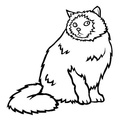 Himalayan_Cat_Coloring_Pages_003.jpg