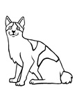 Japanese Bobtail Cat Breed Coloring Book Page