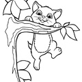 Kittens_Cat_Coloring_Pages_025.jpg