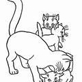Kittens_Cat_Coloring_Pages_087.jpg