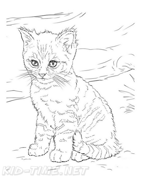 Kittens_Cat_Coloring_Pages_292.jpg