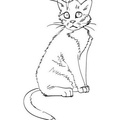 Kittens_Cat_Coloring_Pages_320.jpg
