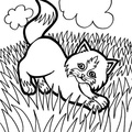 Kittens_Cat_Coloring_Pages_374.jpg