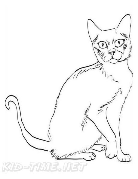 Korat_Cat_Coloring_Pages_002.jpg