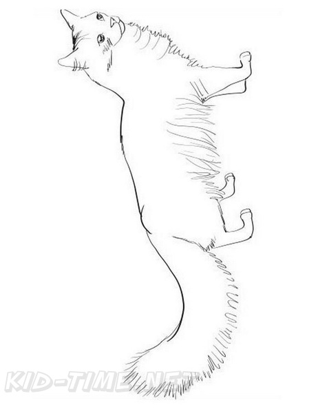 Norwegian_Forest_Cat_Cat_Coloring_Pages_003.jpg