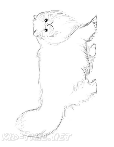 Persian_Cat_Coloring_Pages_012.jpg