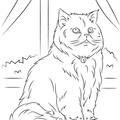 Persian_Cat_Coloring_Pages_013.jpg