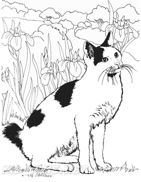 Realistic_Cat_Cat_Coloring_Pages_005.jpg