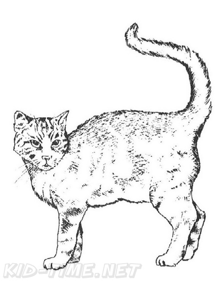 Realistic_Cat_Cat_Coloring_Pages_006.jpg