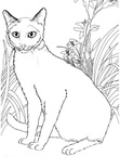 Realistic Cats Coloring Book Page