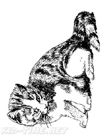 Realistic_Cat_Cat_Coloring_Pages_017.jpg