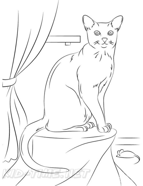 Russian_Blue_Cat_Coloring_Pages_003.jpg