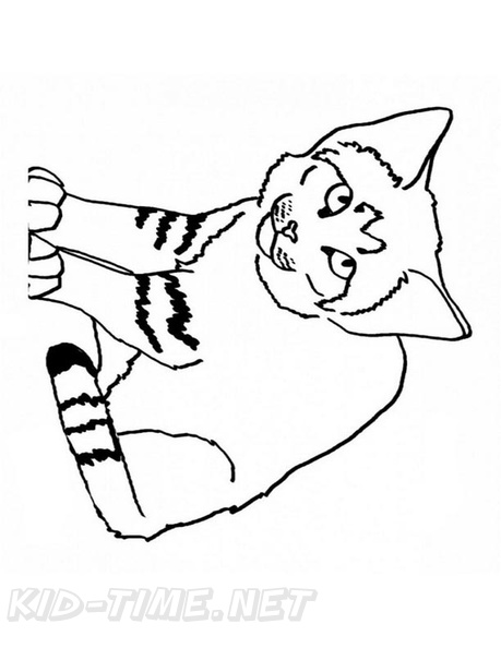 Sand_Cat_Cat_Coloring_Pages_001.jpg