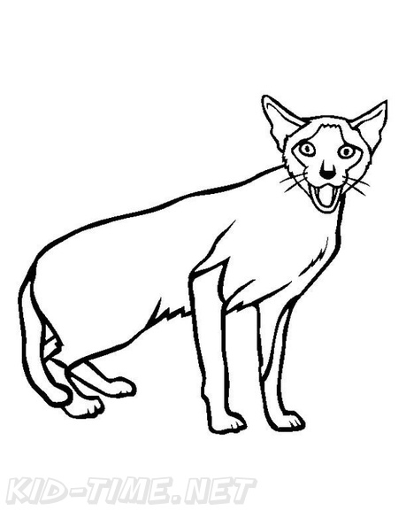 Siamese_Cat_Coloring_Pages_011.jpg