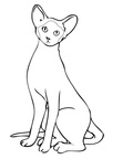 Siamese Cat Breed Coloring Book Page