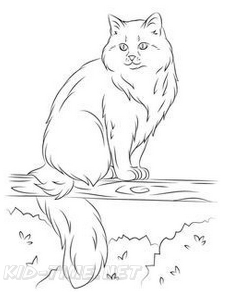 Siberian_Cat_Coloring_Pages_001.jpg