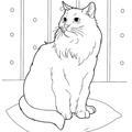 Siberian Cat Coloring Book Page