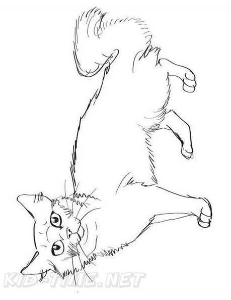 Siberian_Cat_Coloring_Pages_005.jpg
