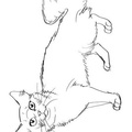 Siberian Cat Coloring Book Page