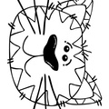 simplistic-cat-simple-toddler-coloring-pages-30.jpg