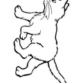 simplistic-cat-simple-toddler-coloring-pages-42.jpg