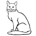 simplistic-cat-simple-toddler-coloring-pages-48.jpg