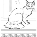 Somali_Cat_Coloring_Pages_001.jpg