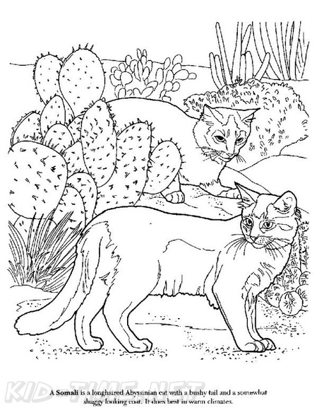 Somali_Cat_Coloring_Pages_003.jpg